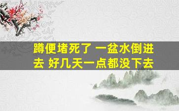 蹲便堵死了 一盆水倒进去 好几天一点都没下去